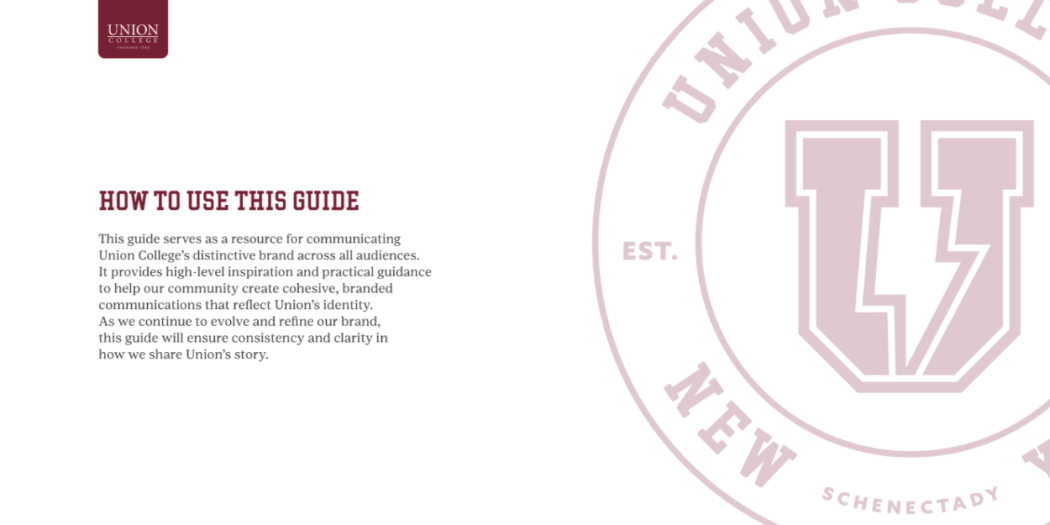 How to use these guidelines text